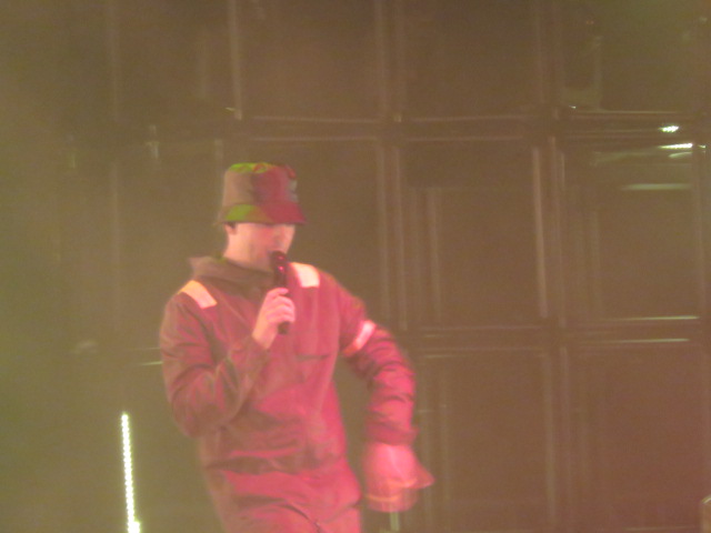 Twenty One pilots (26)