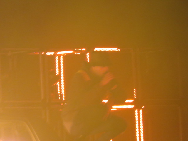 Twenty One pilots (27)