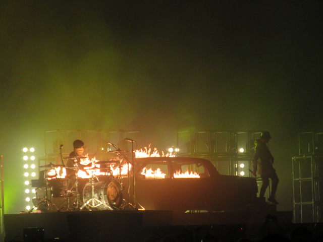 Twenty One pilots (30)