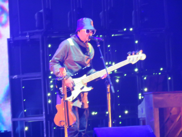 Twenty One pilots (39)