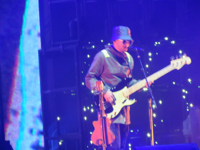 Twenty One pilots (42)