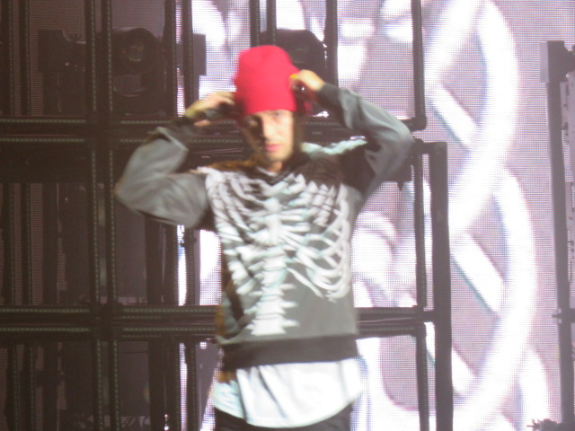 Twenty One pilots (66)