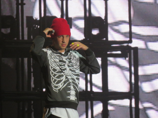 Twenty One pilots (67)