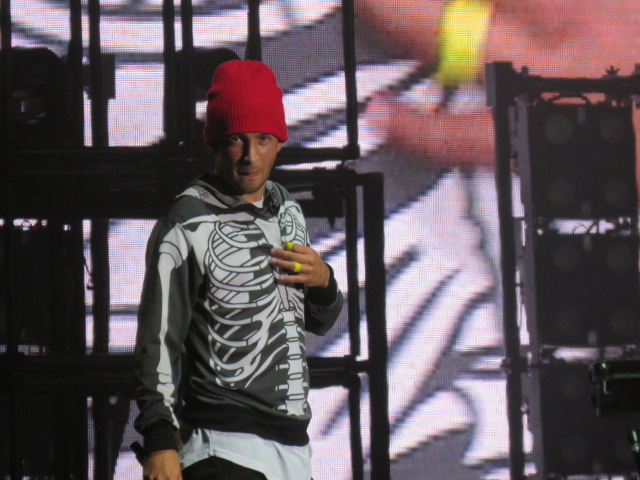 Twenty One pilots (68)