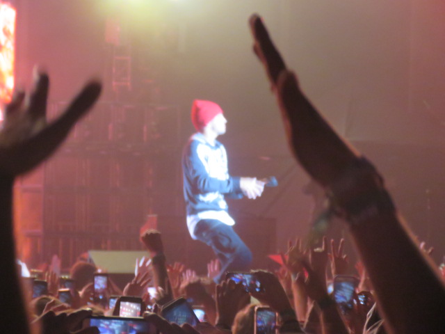 Twenty One pilots (75)