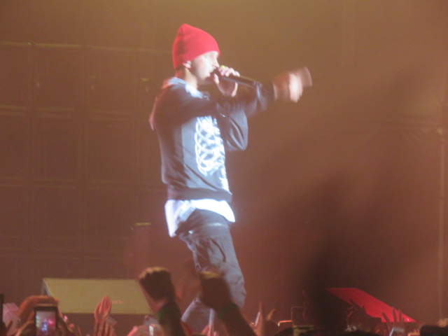 Twenty One pilots (76)