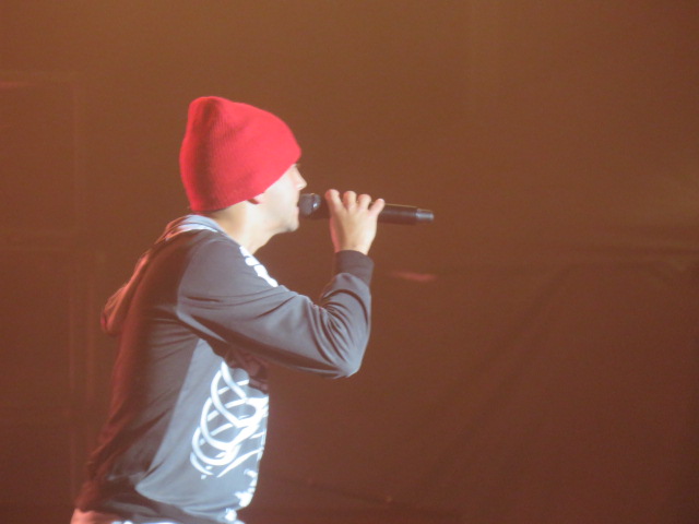 Twenty One pilots (80)