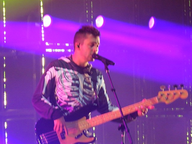 Twenty One pilots (87)