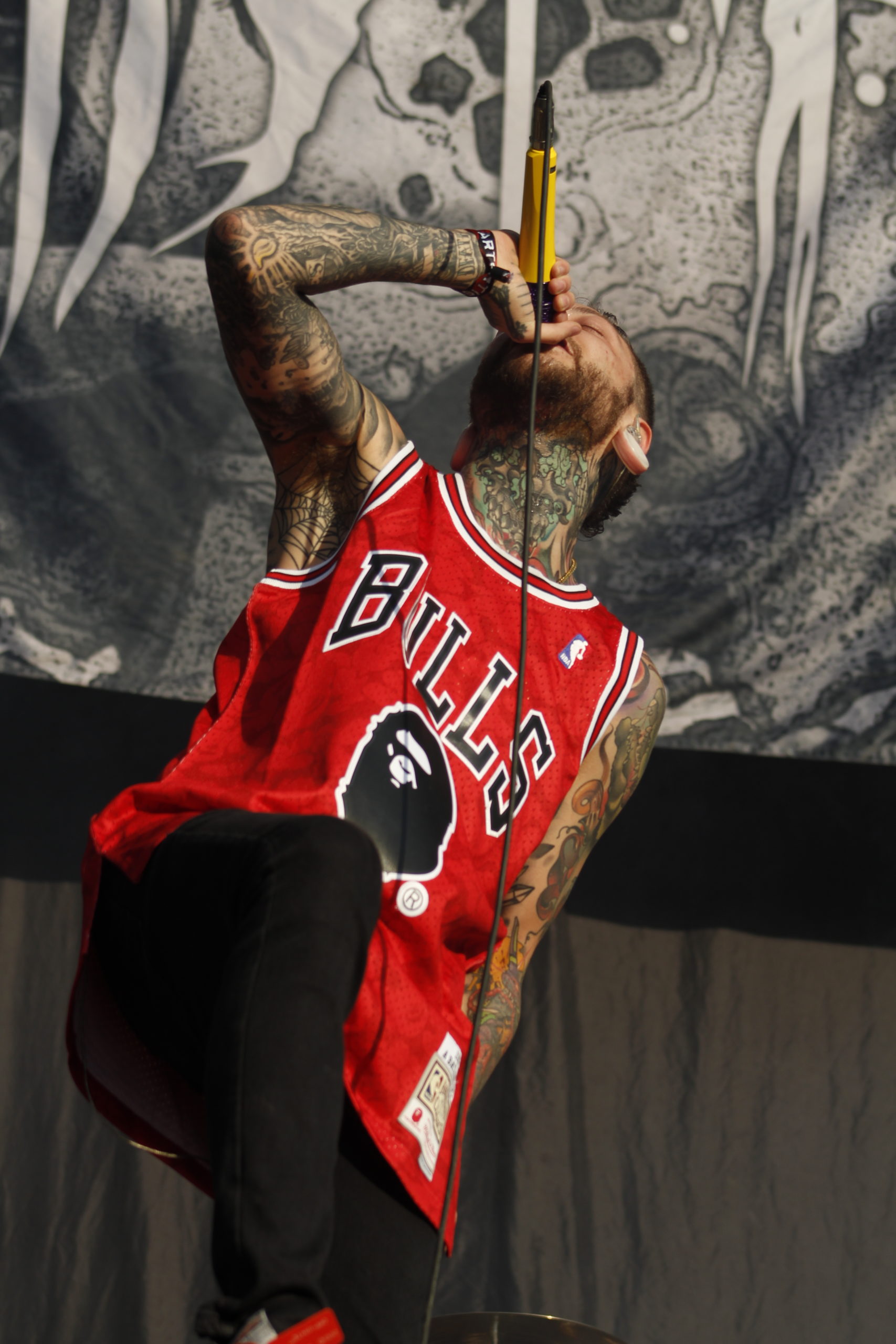 Chelsea Grin (2)