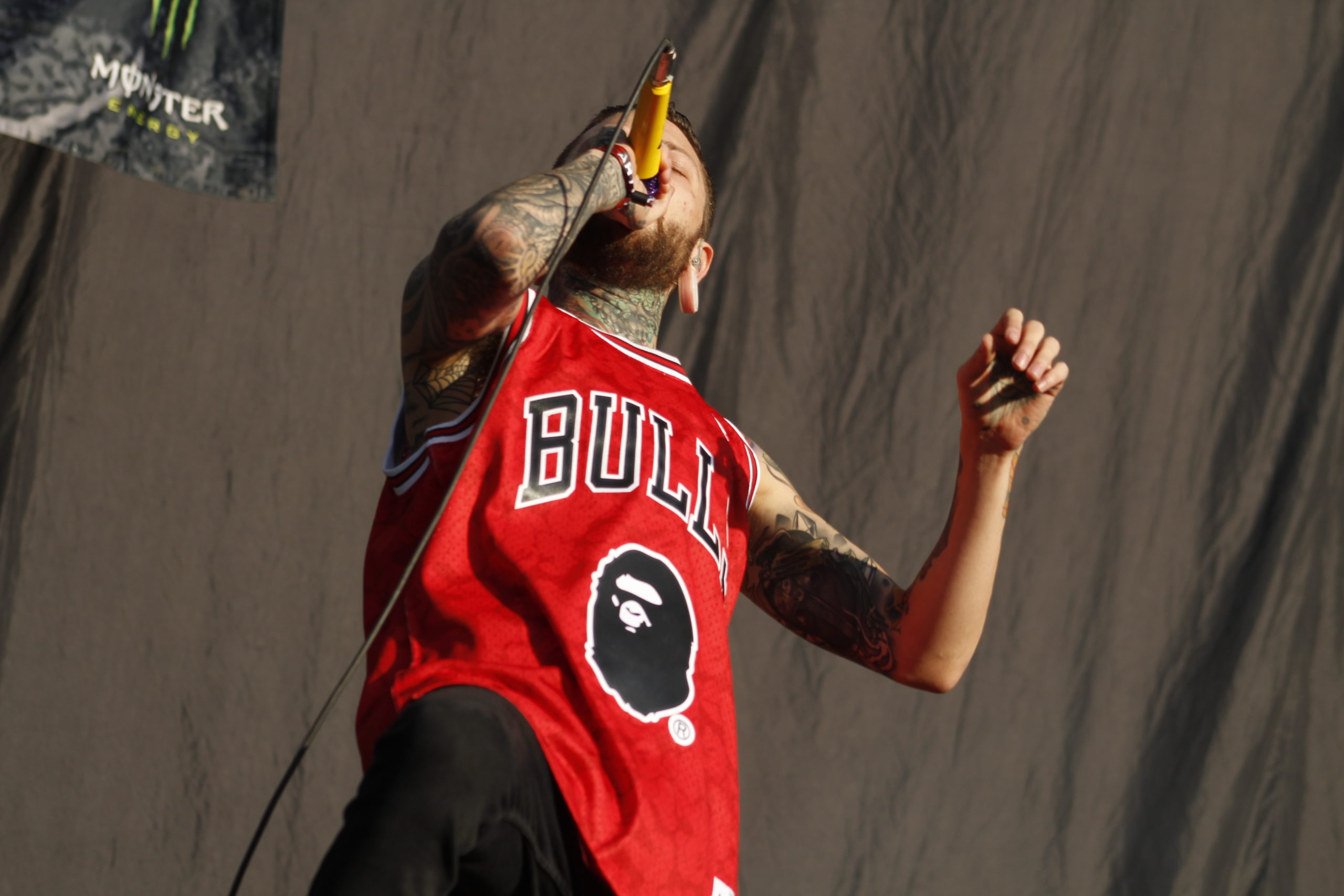 Chelsea Grin (8)