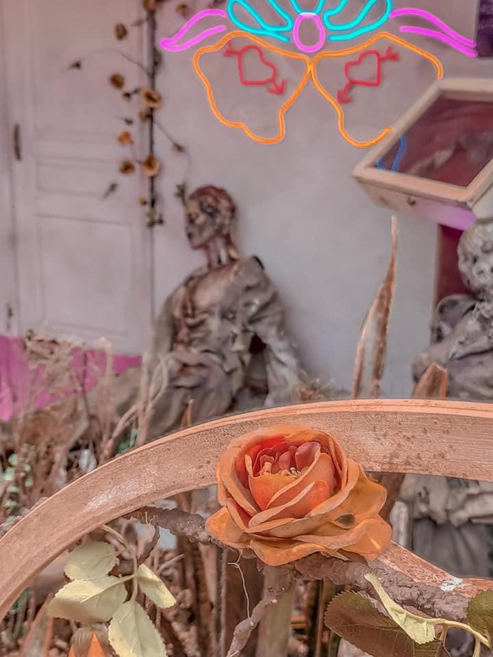 Los Zombies llegaron a la Ciudad de México (1)