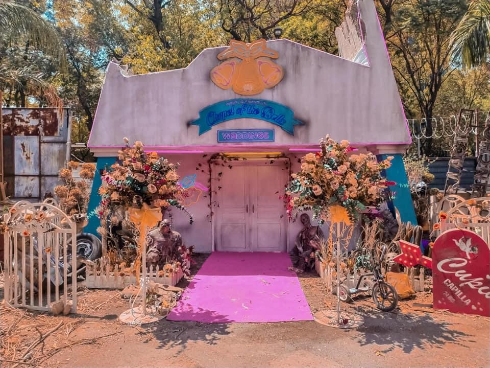 Los Zombies llegaron a la Ciudad de México (8)