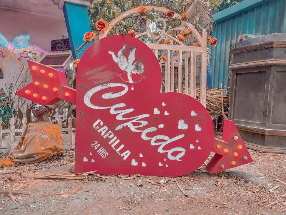 Los Zombies llegaron a la Ciudad de México (9)