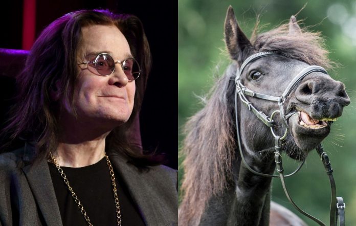 Ozzy Osbourne dejó de tomar ácido después de hablar con un caballo durante una hora
