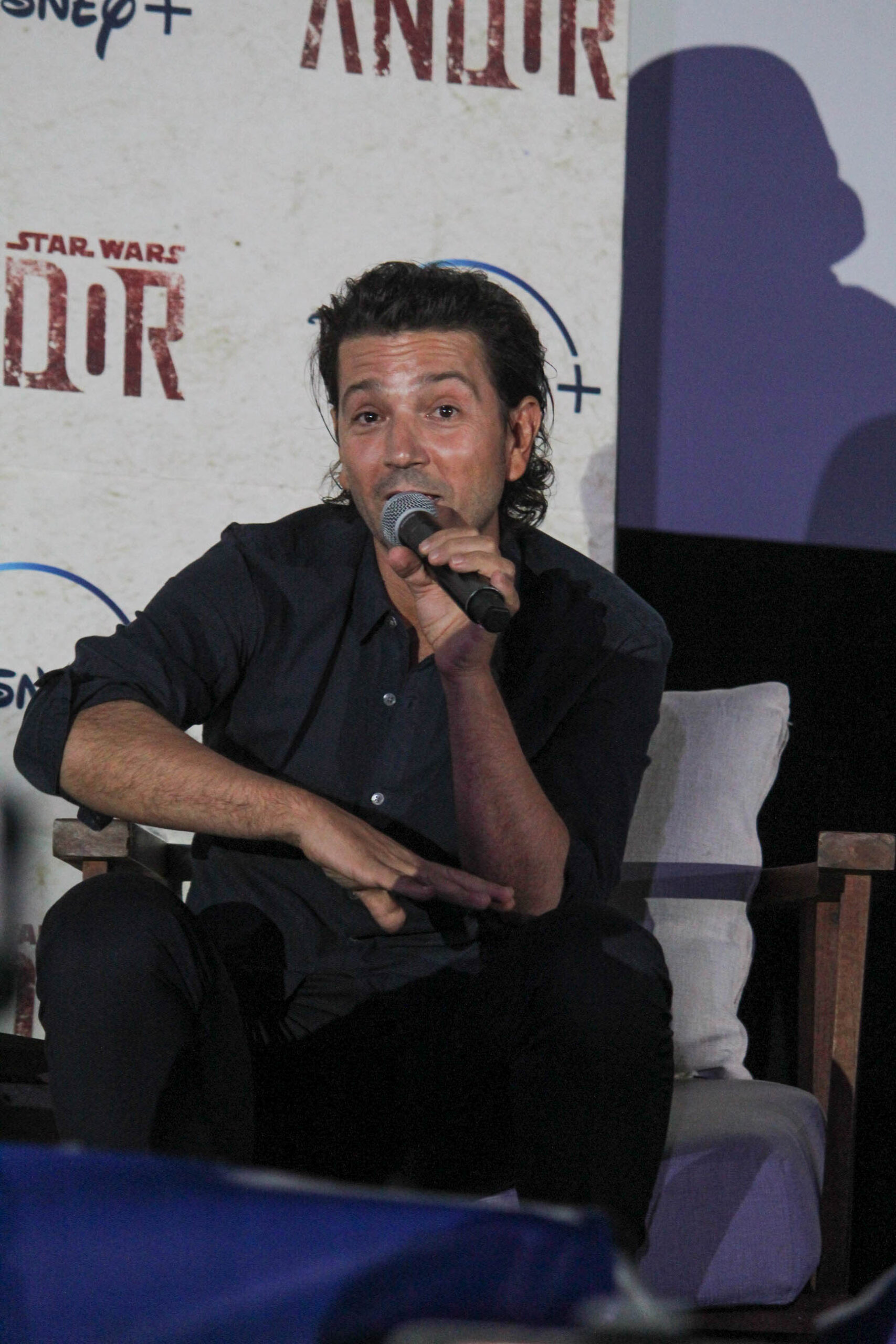 Caifanes Plaacio de los deportes (11 of 38)