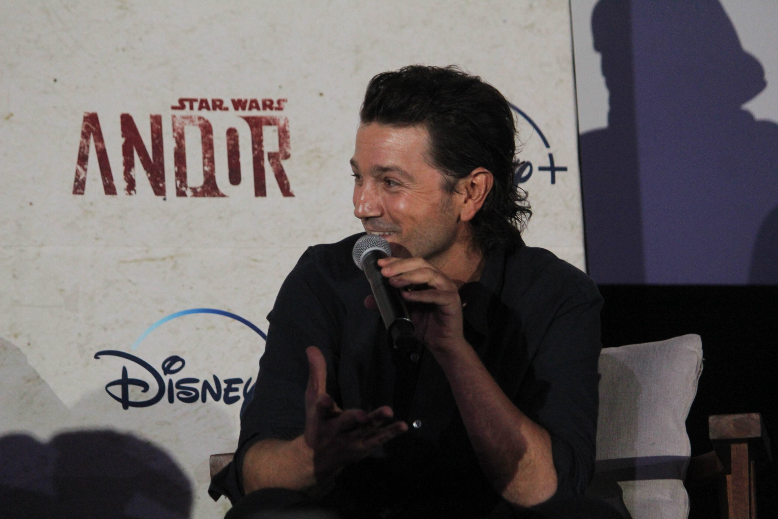 Caifanes Plaacio de los deportes (12 of 38)