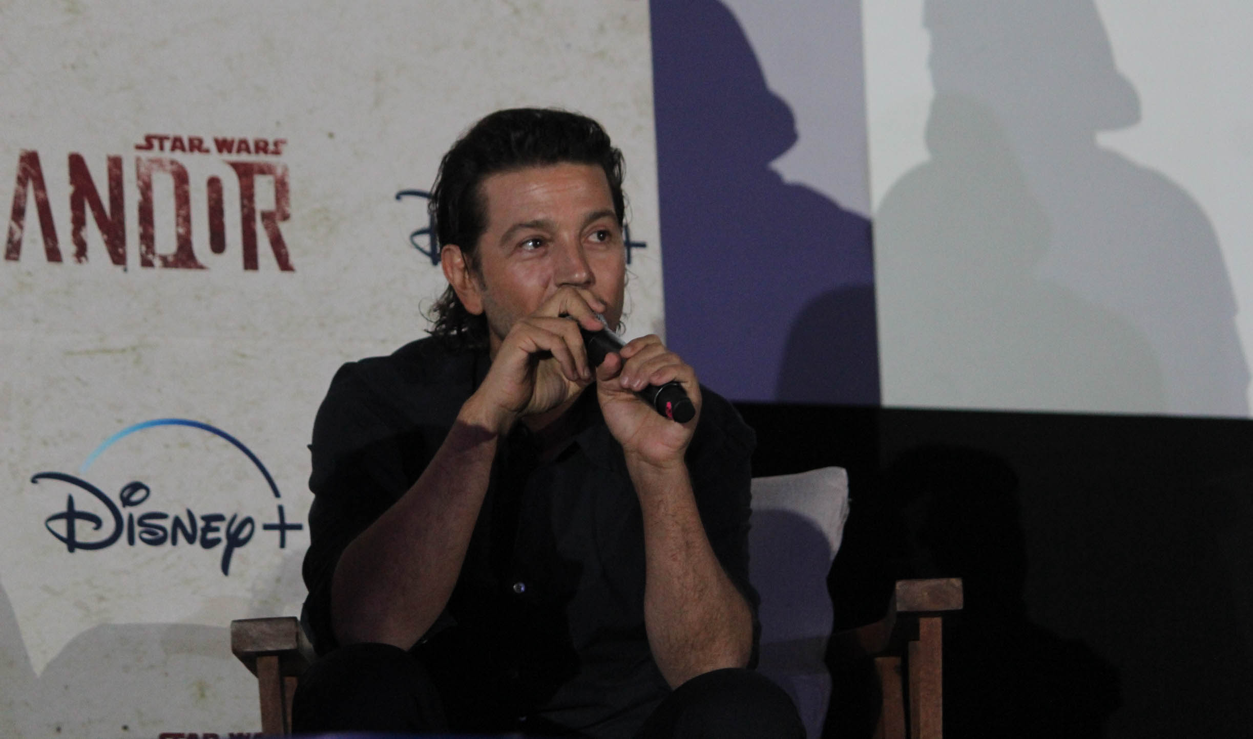 Caifanes Plaacio de los deportes (13 of 38)