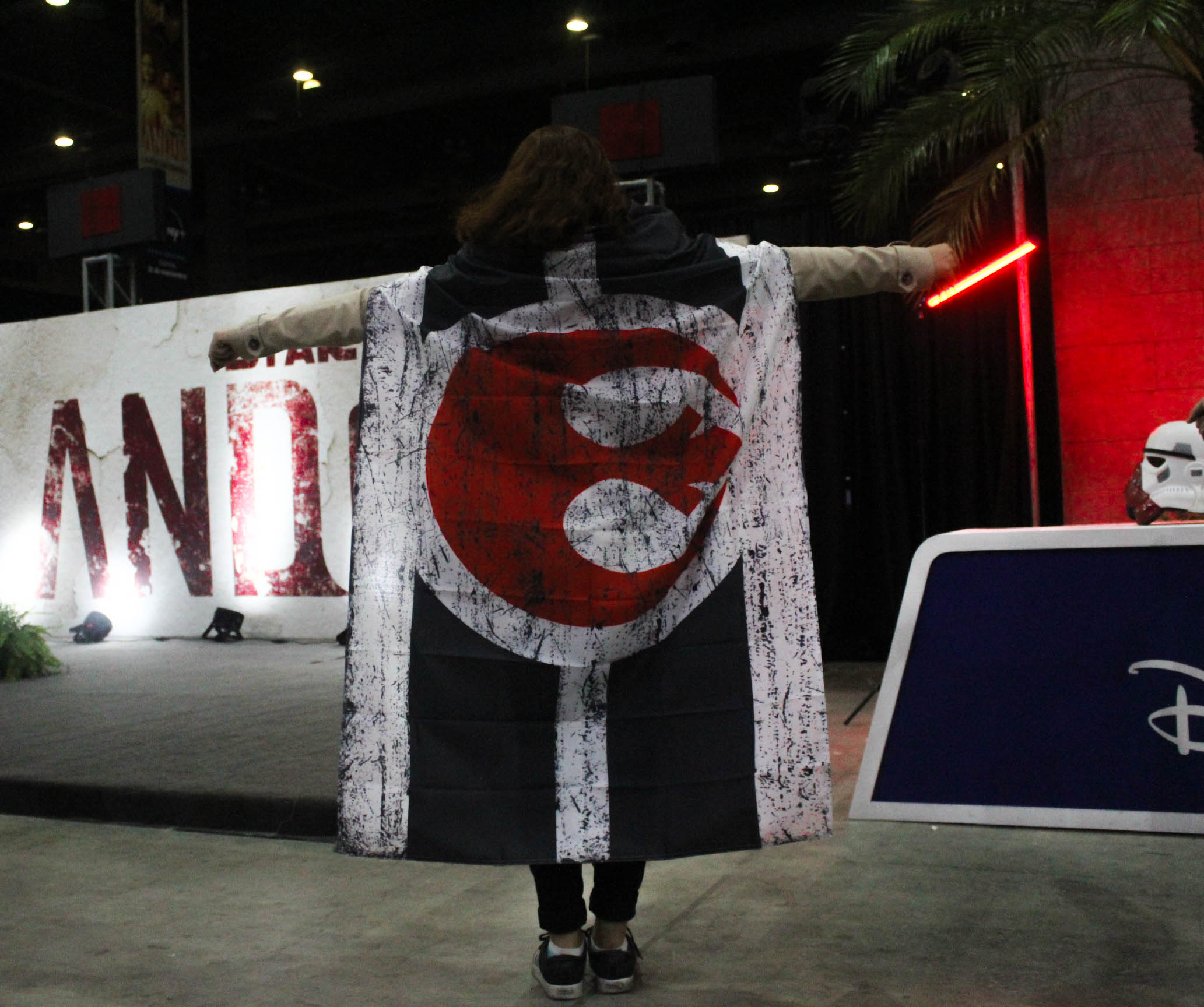 Caifanes Plaacio de los deportes (31 of 38)