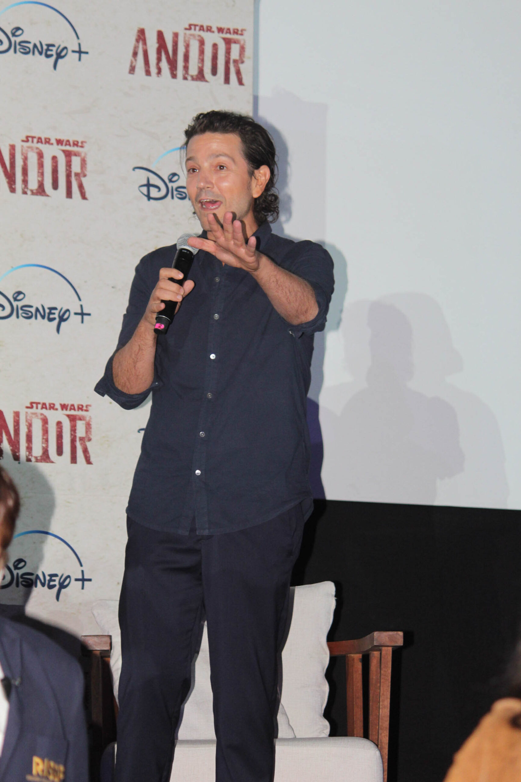 Caifanes Plaacio de los deportes (4 of 38)