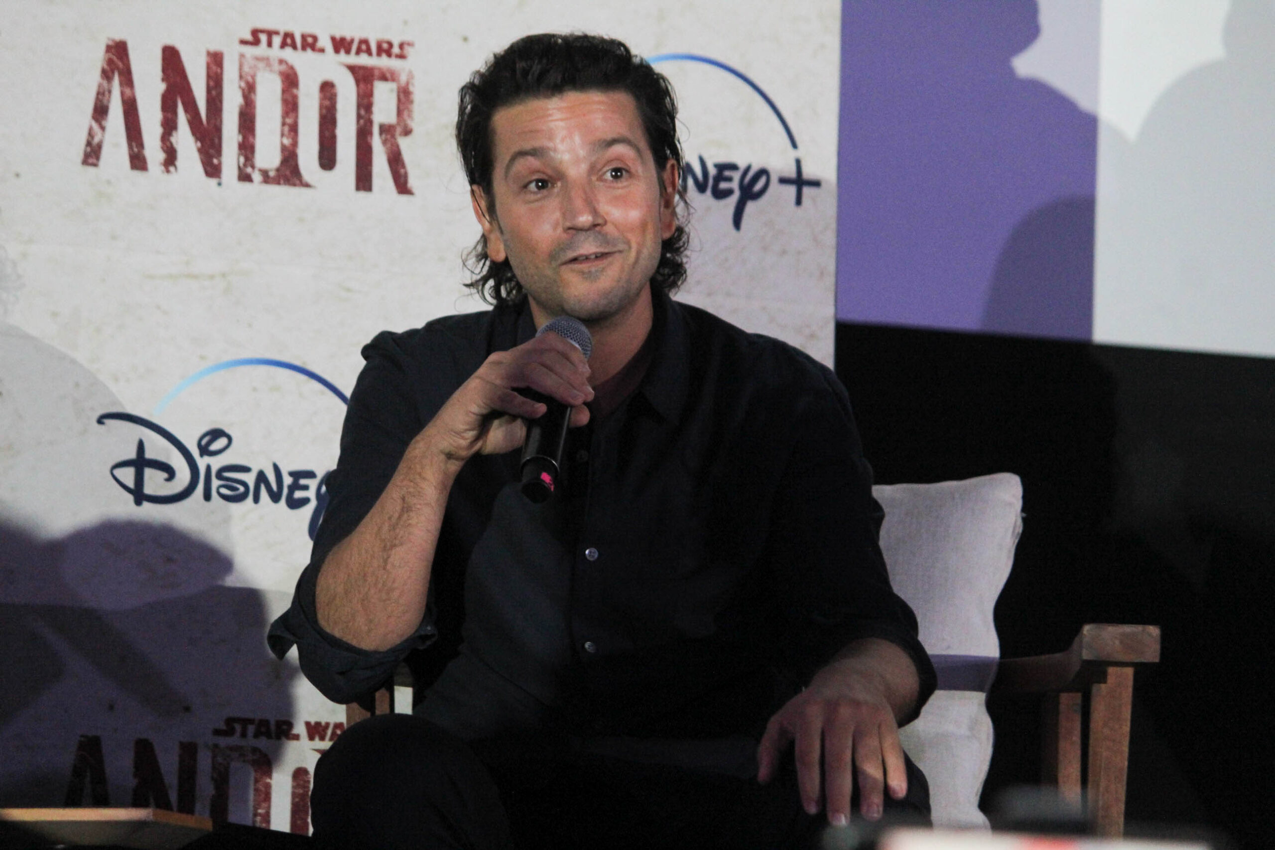 Caifanes Plaacio de los deportes (5 of 38)