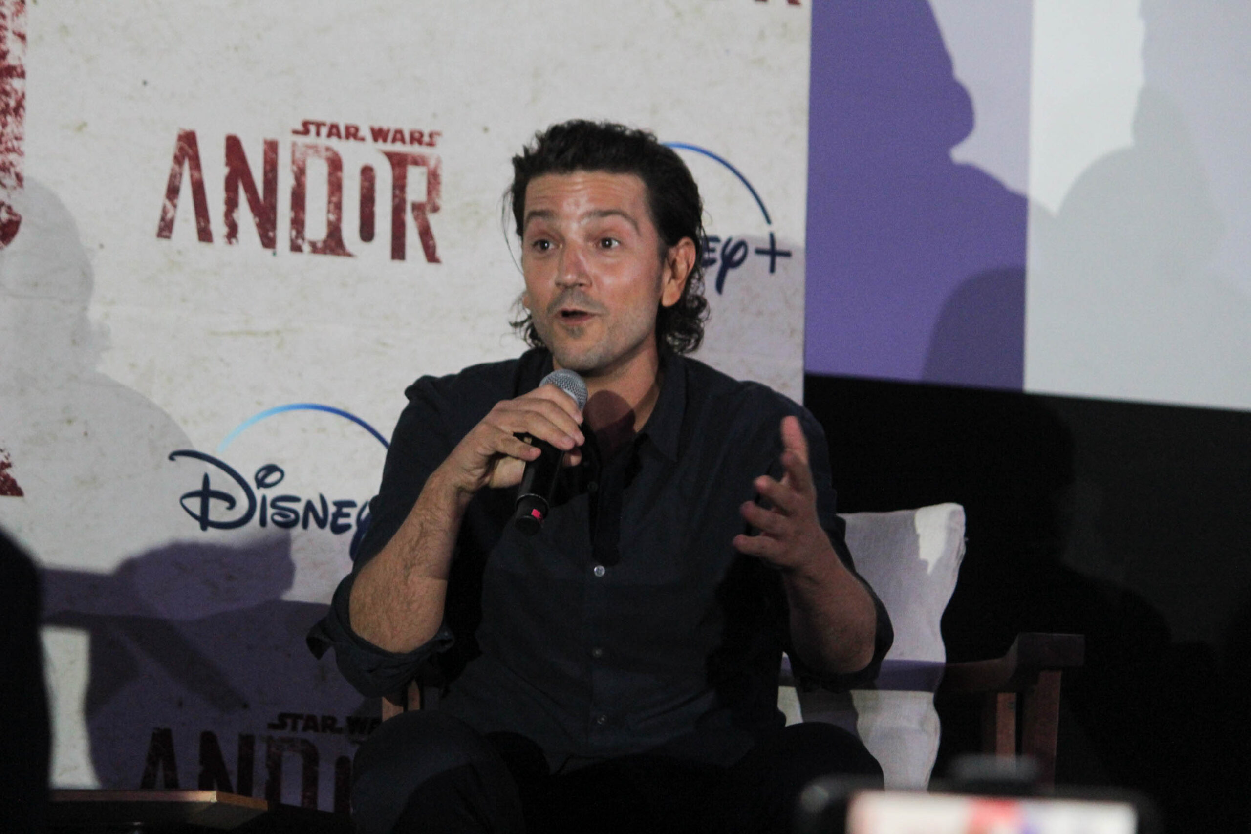 Caifanes Plaacio de los deportes (6 of 38)