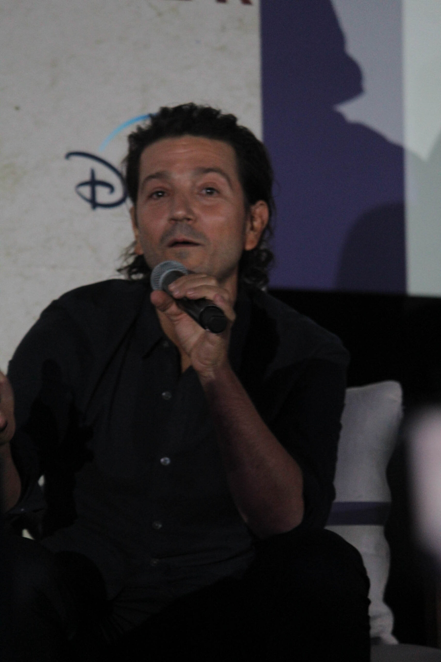 Caifanes Plaacio de los deportes (8 of 38)