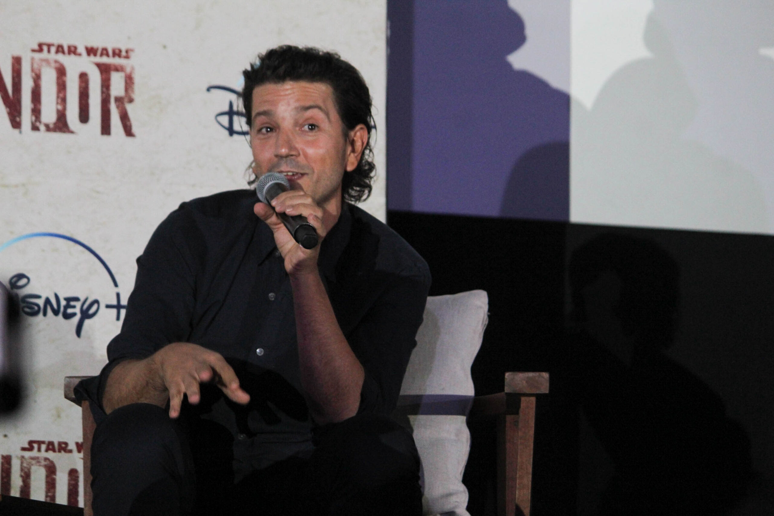 Caifanes Plaacio de los deportes (9 of 38)