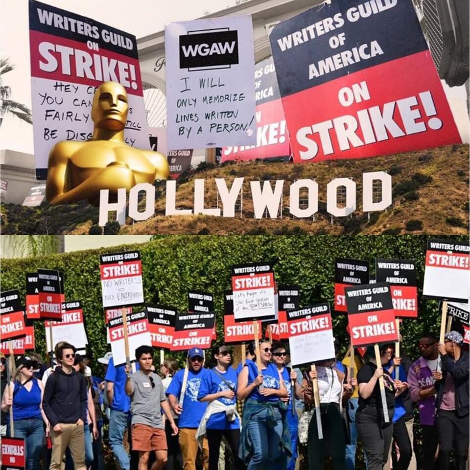 WhatsApp Image 2023-07-13 at 13.02.04