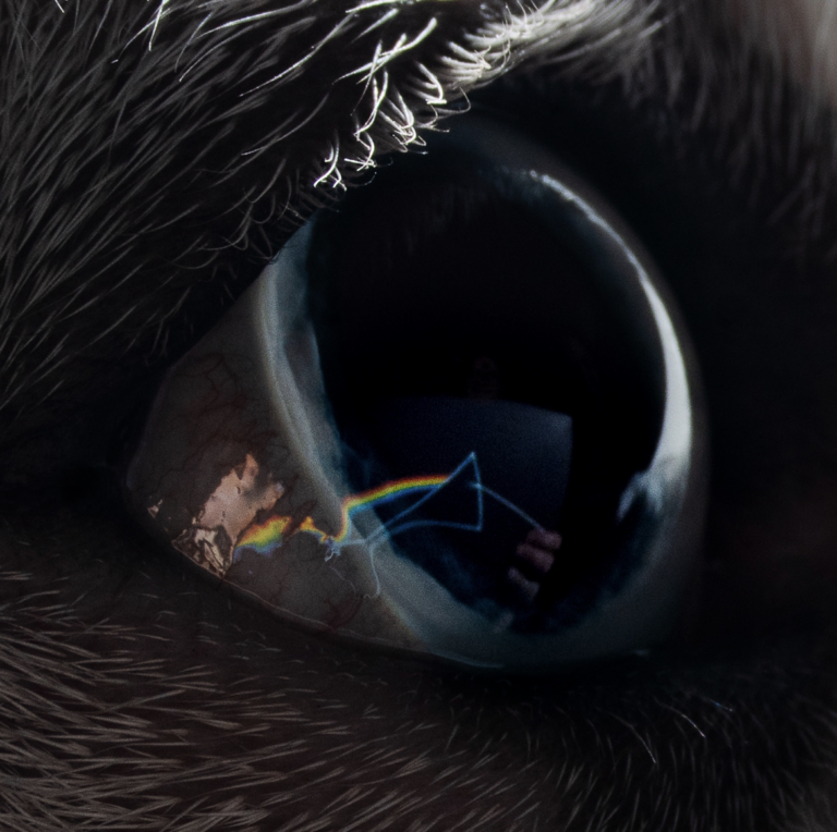 e0c9ffa0-00b3-ab36-6fac-65668a027973