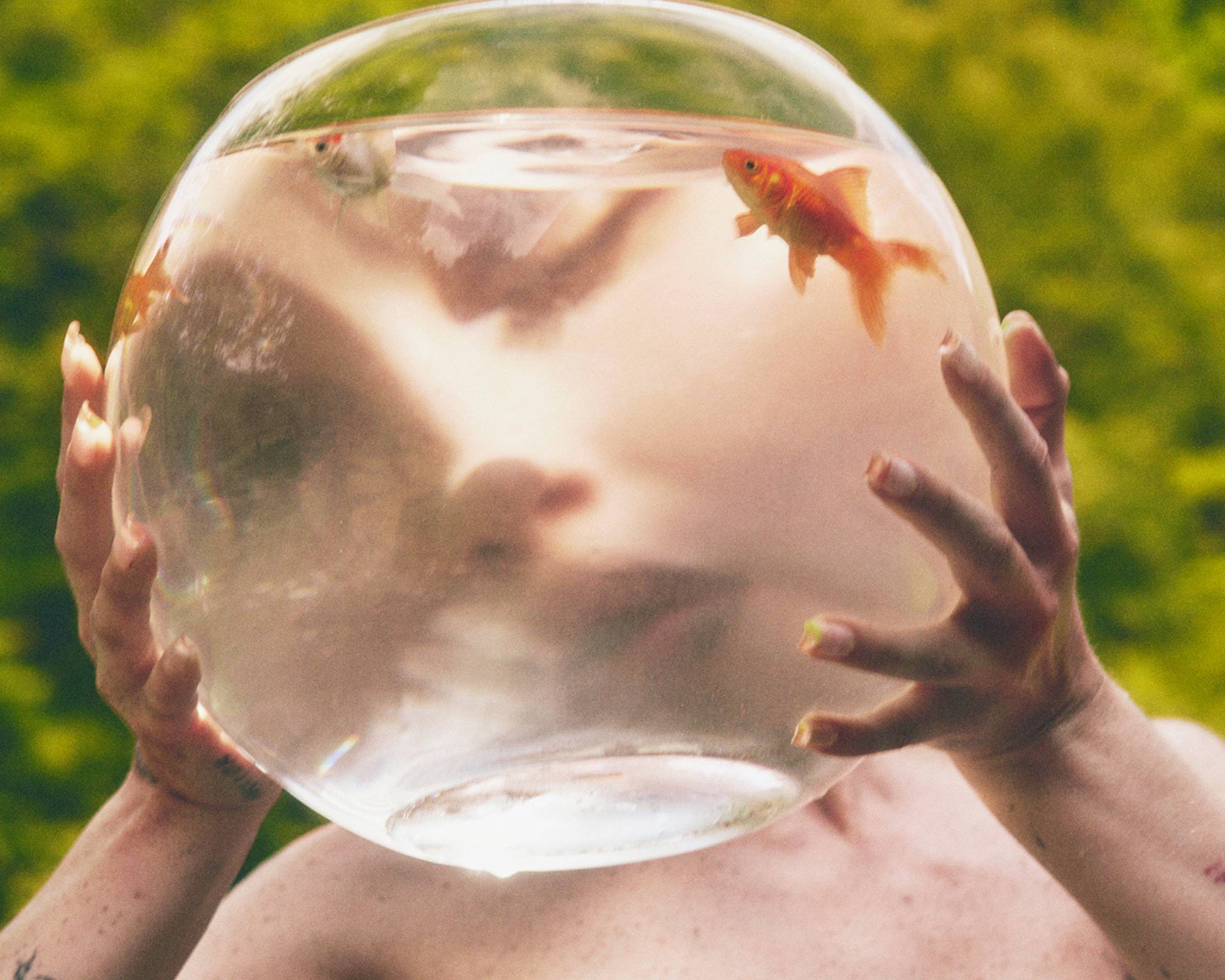 Chop Suey Press Photo PR 1 (Credit Hannah Khymych) (1)-compressed