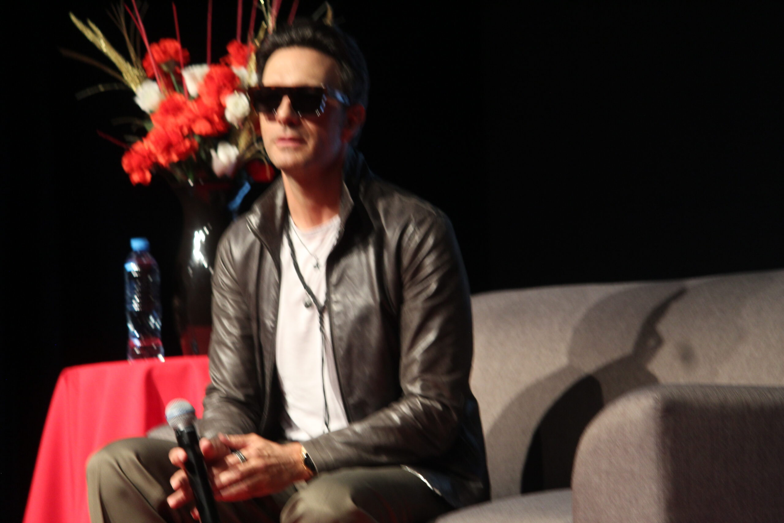 leonardo de lozanne (7)