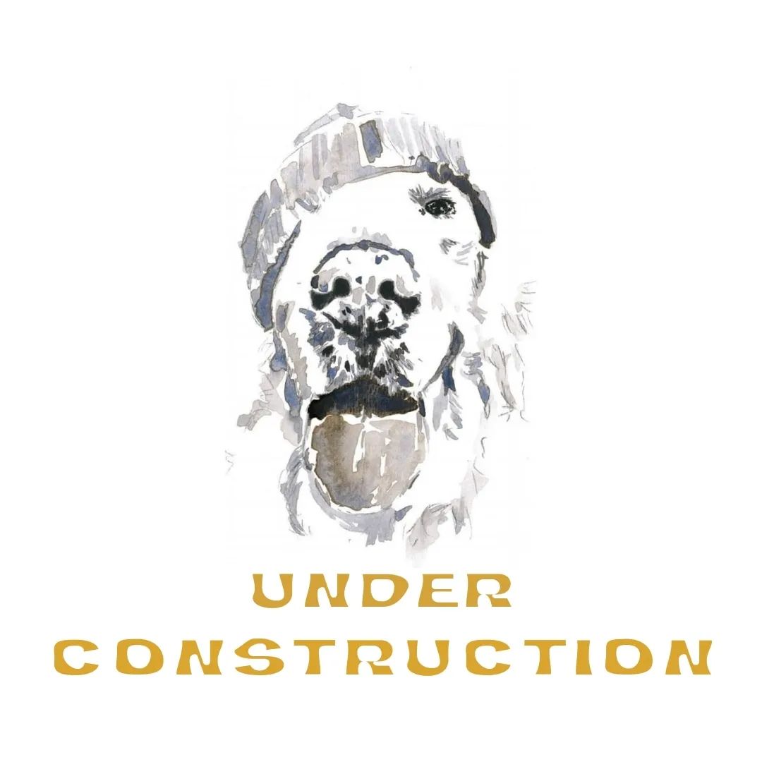 405795948_826331822582356_5683794591699529786_n