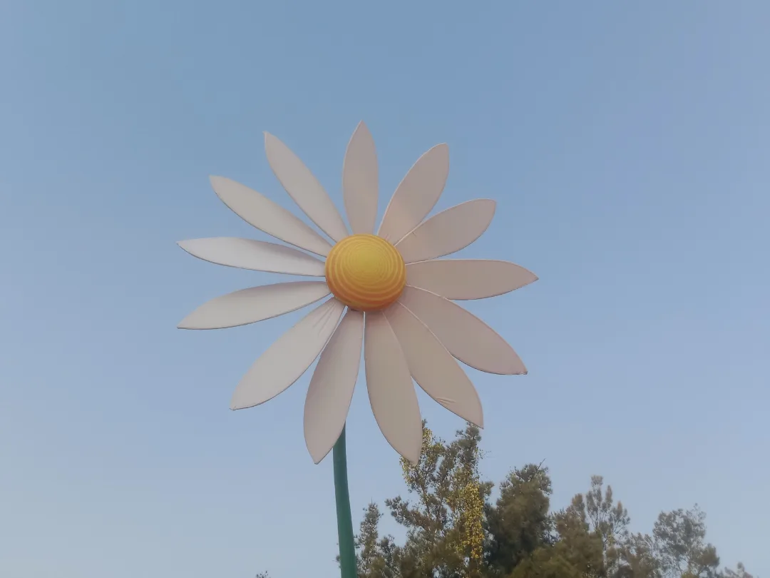 IMG_20240223_180225_201