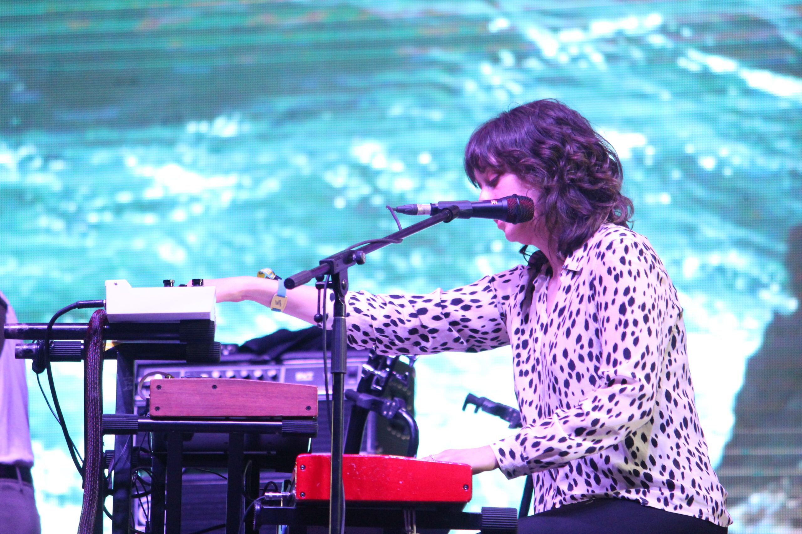 devendra banhart (16)