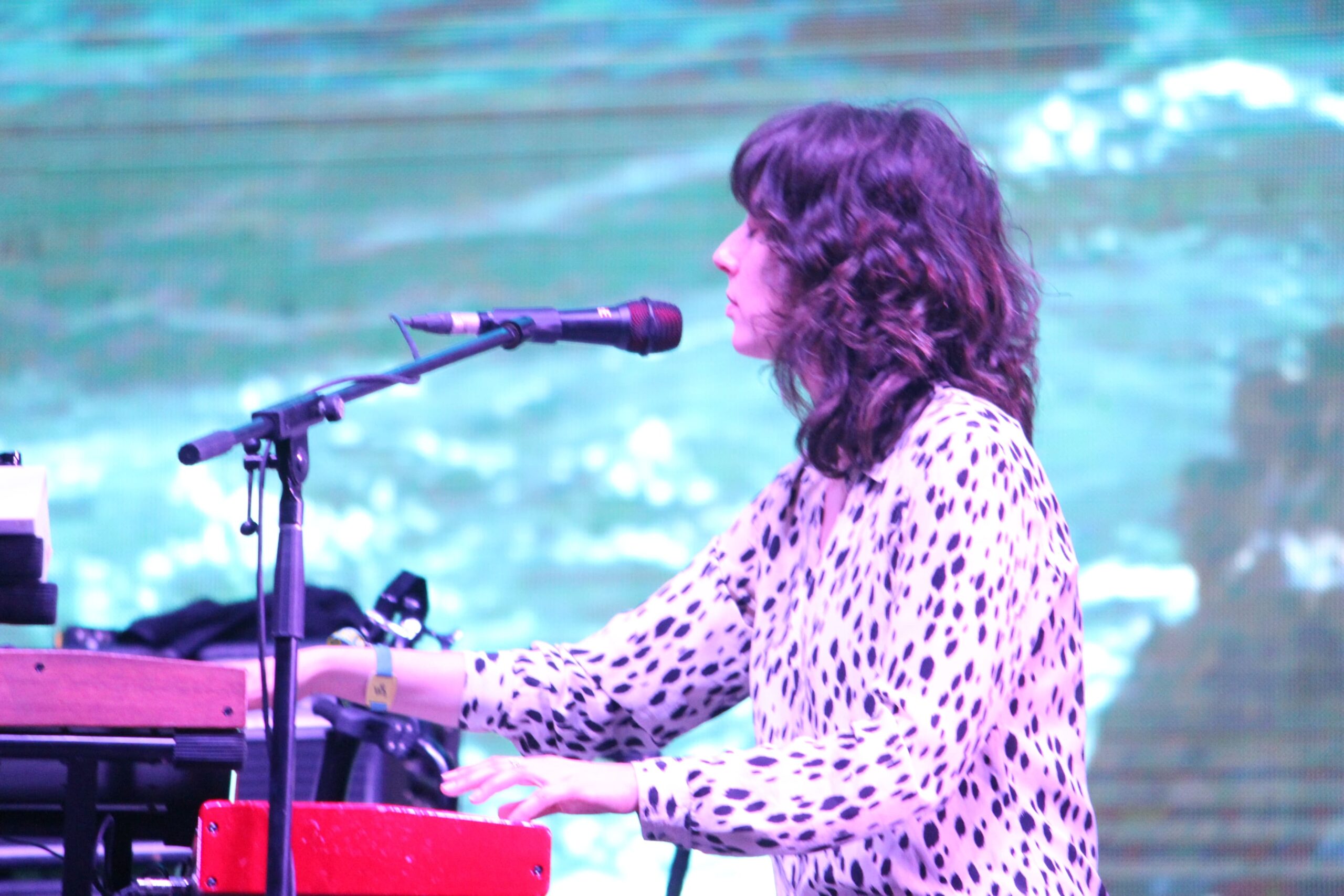 devendra banhart (32)