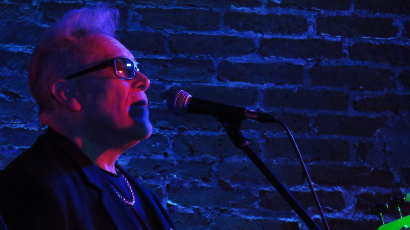 LOS GATOS ROCKABILLY (26)