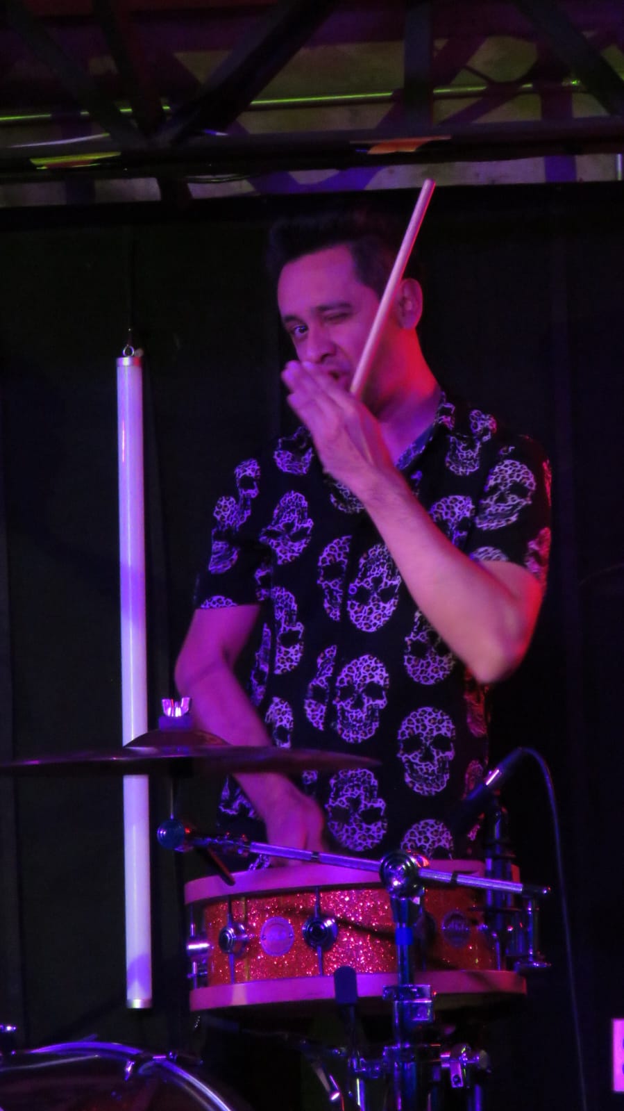 LOS GATOS ROCKABILLY (4)