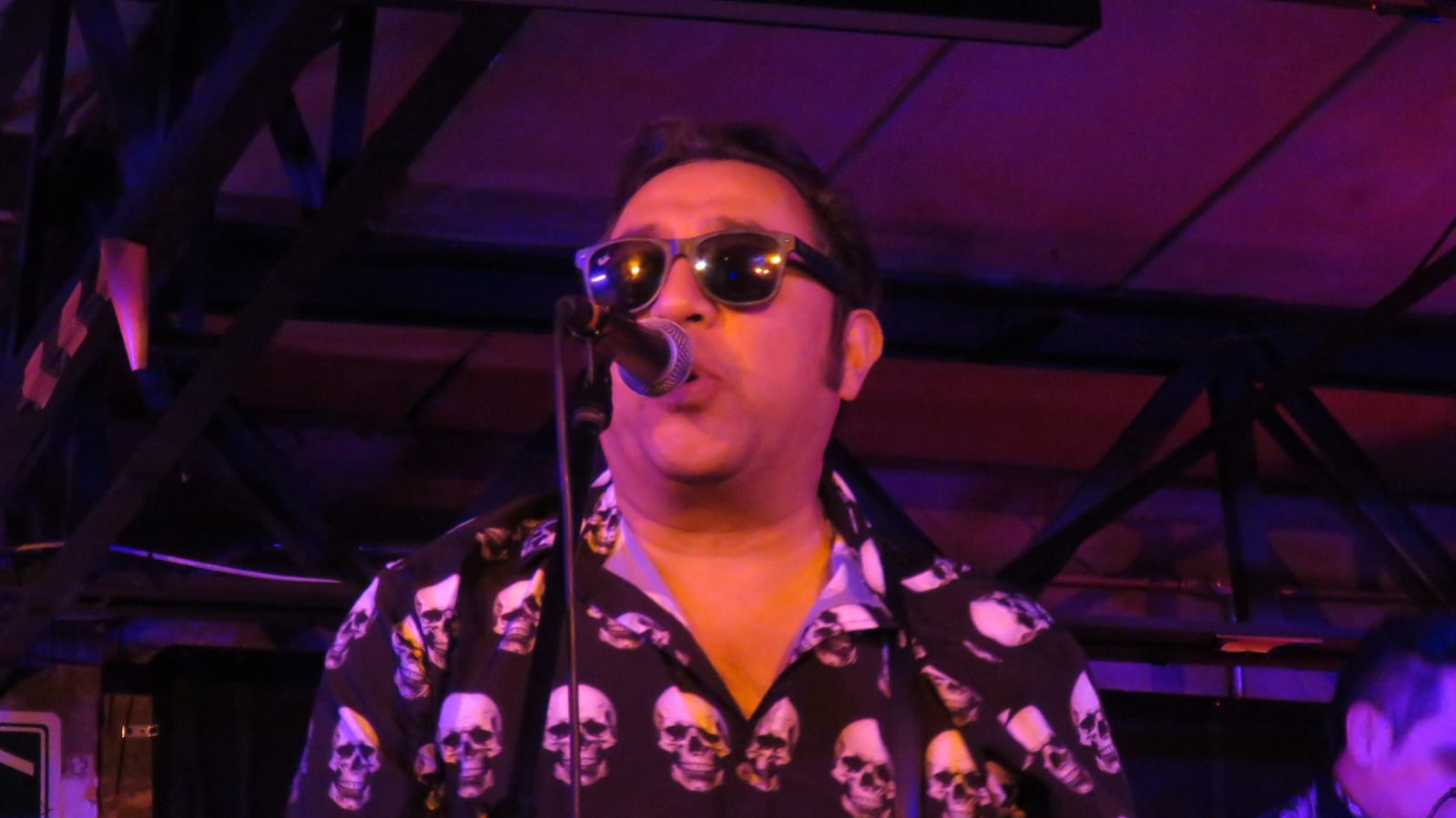 LOS GATOS ROCKABILLY (9)