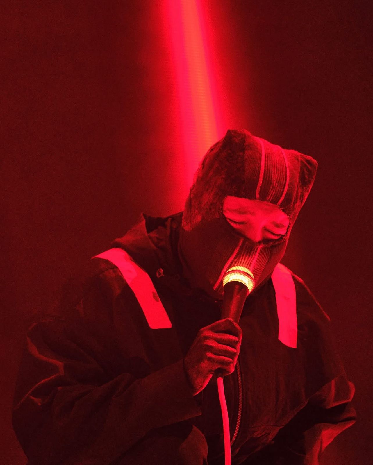 TWENTY_ONE_PILOTS_ESTADIO_GNP (14)