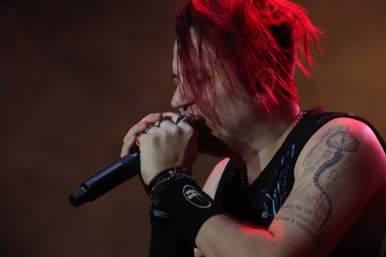 fear Factory _ titans Of Metal (19)