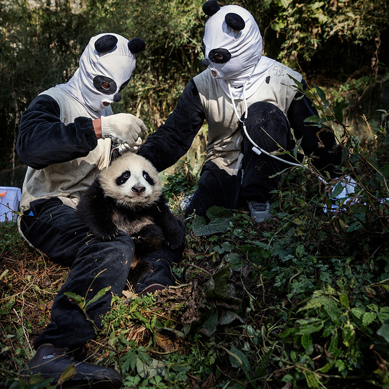 MENGERS anuncia el sencillo Z