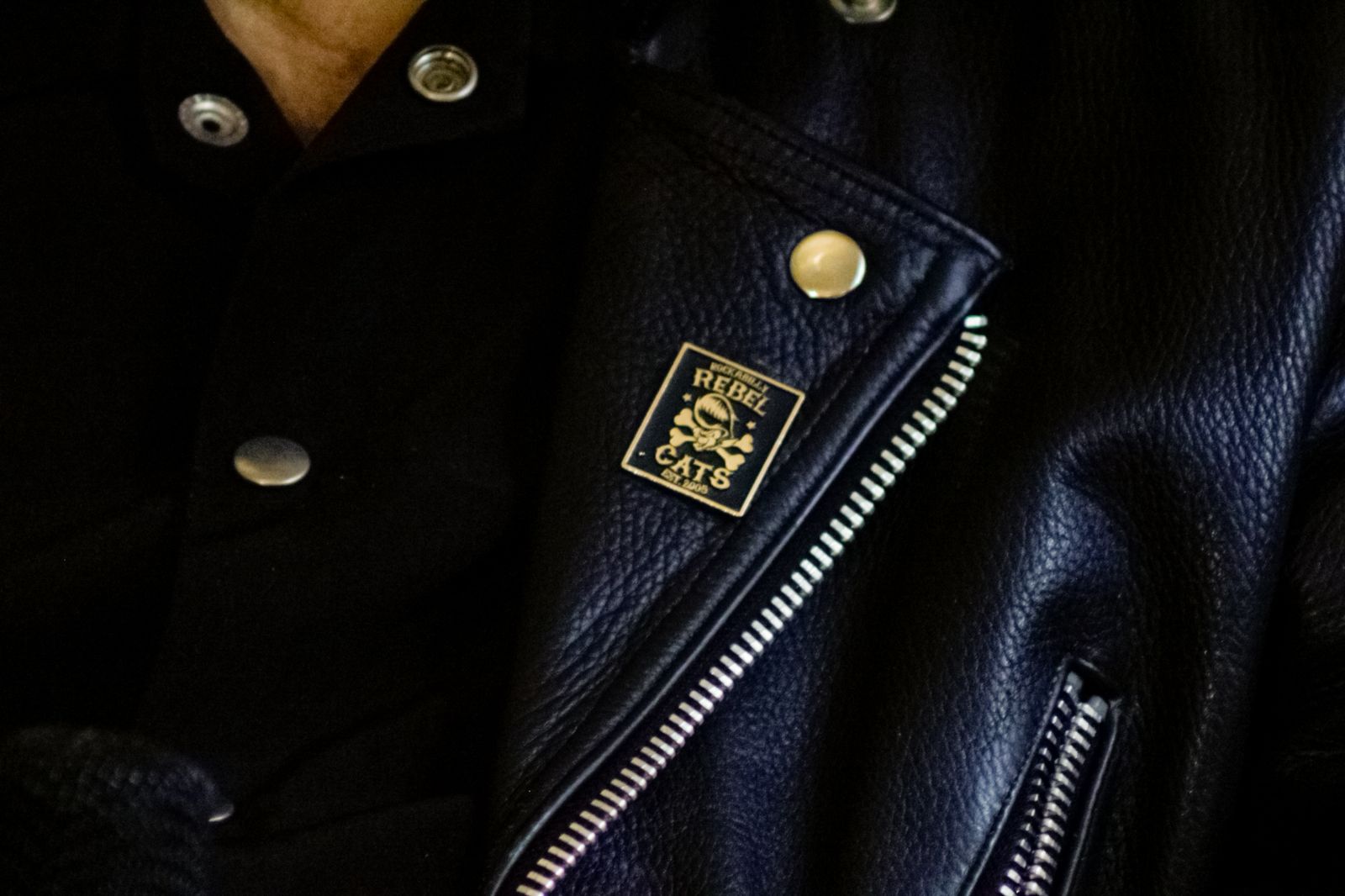 REBEL CATS TEATRO ESPERANZA IRIS 8 DE JULIO 2025 (12)