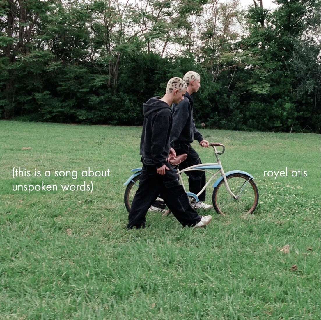 image - 2025-07-29T124350.600