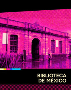 biblioteca-de-mexico-250x313