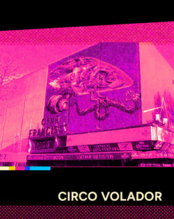 circo-volador-250x313
