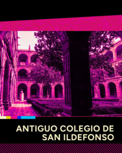 san-ildefonso-250x313