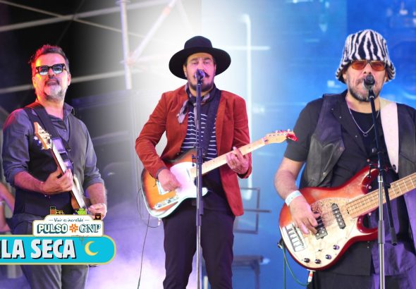 pila seca - pulso portada