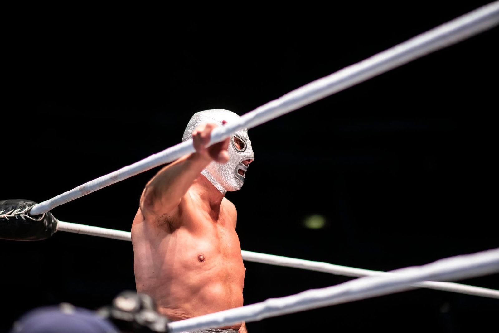DESPEDIDA HIJO DEL SANTO PALACIO DE LOS DEPORTES 13 DE DICIEMBRE 2025 (11)