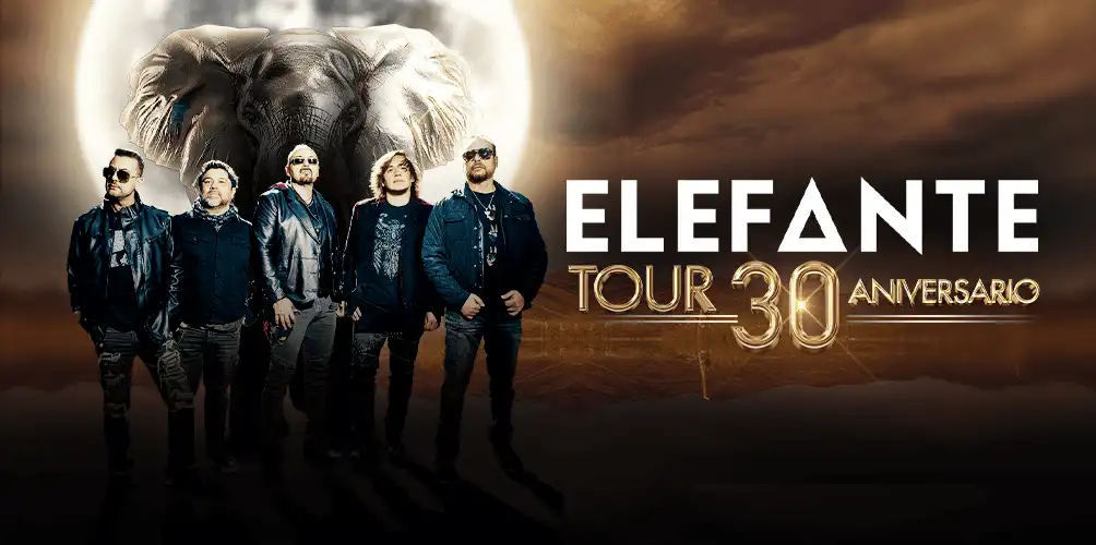 Elefante