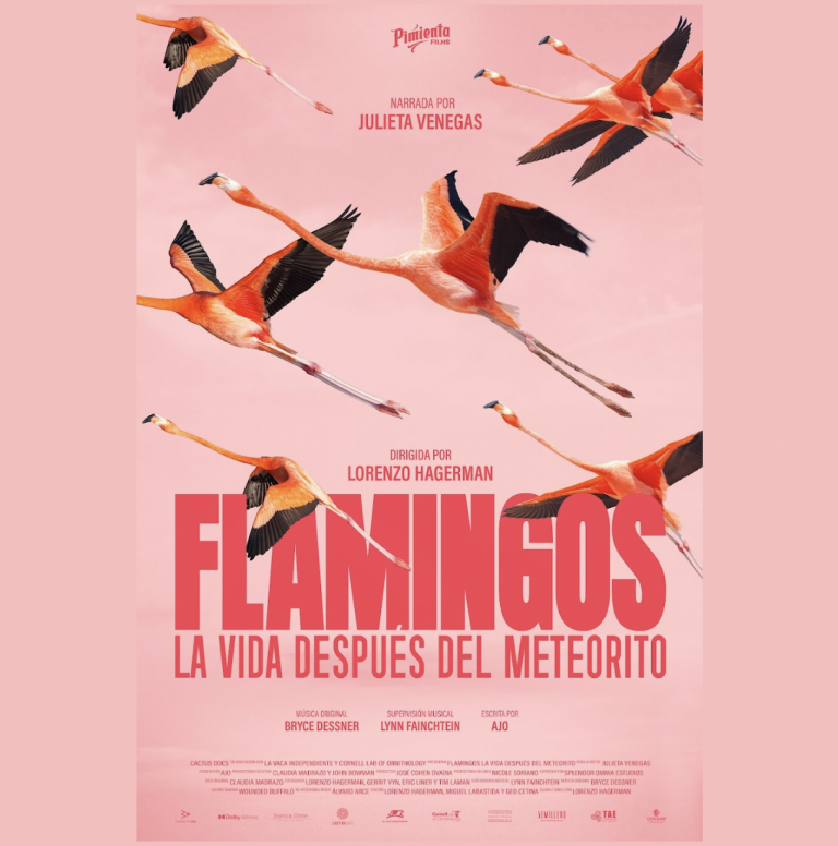 Día Mundial de la Naturaleza se anuncia el estreno del documental Flamingos